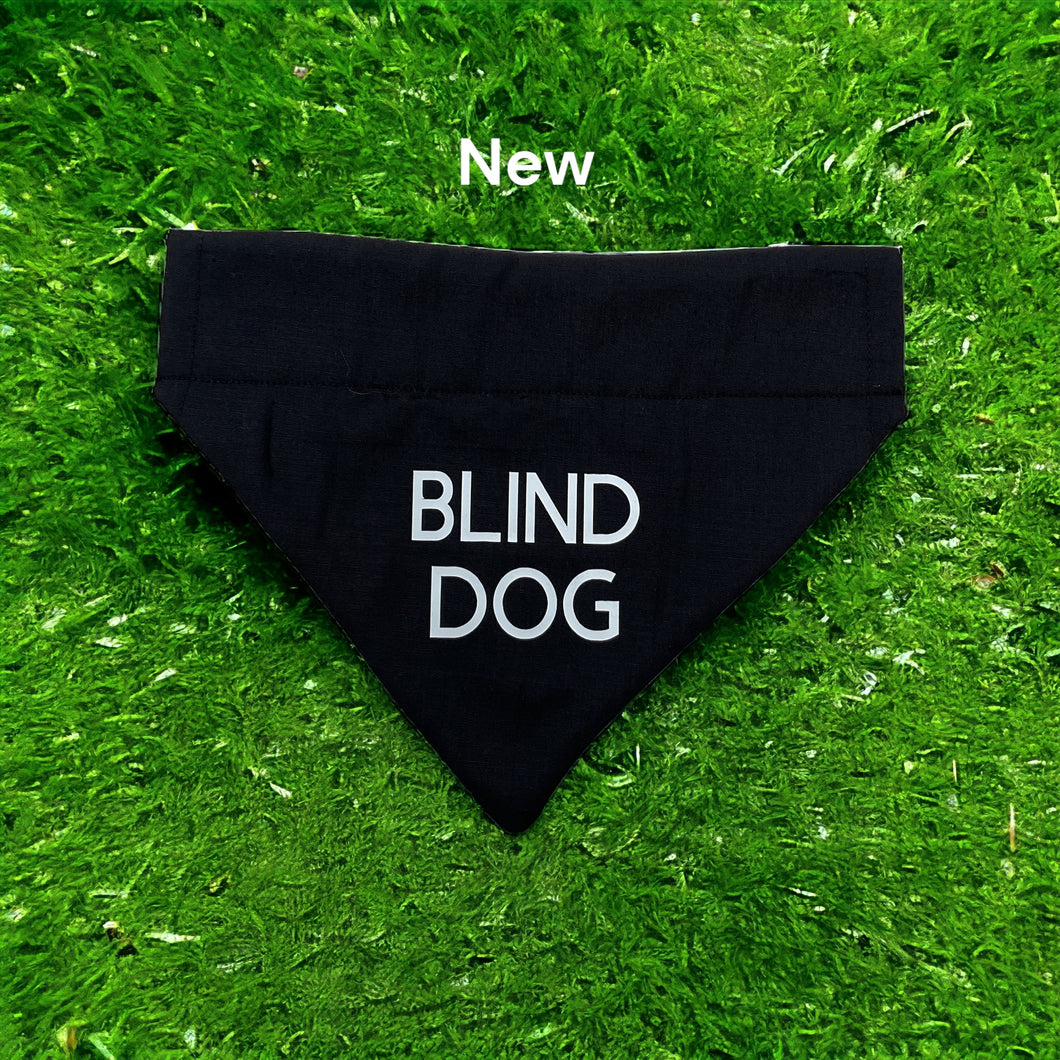 Blind Dog