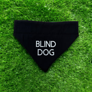 Blind Dog