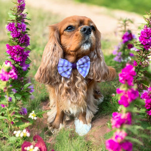 Lilac Gingham