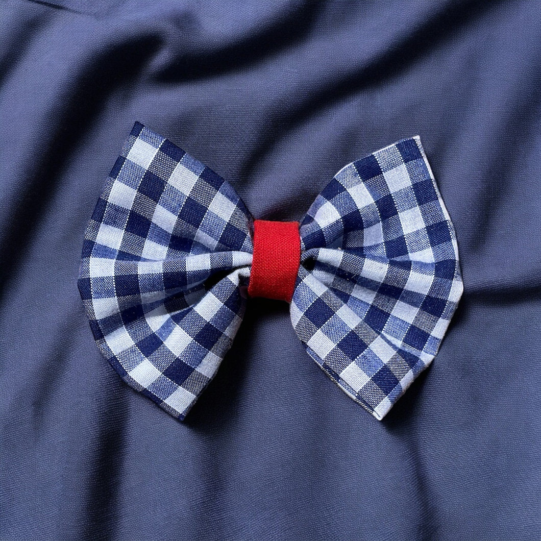 Gingham Blue