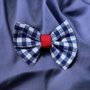 Gingham Blue