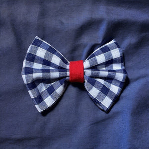 Gingham Blue