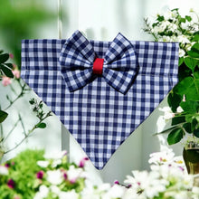 Load image into Gallery viewer, Gingham Blue