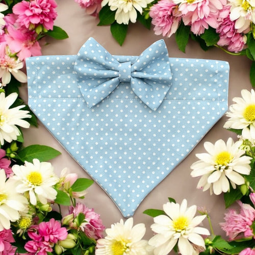 Pale Blue Polka Dot