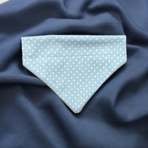 Pale Blue Polka Dot