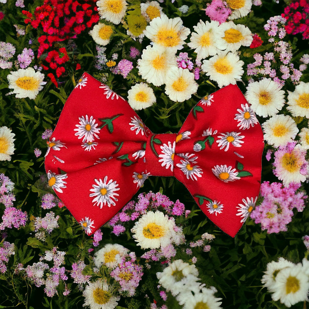 Summer Daisy Red